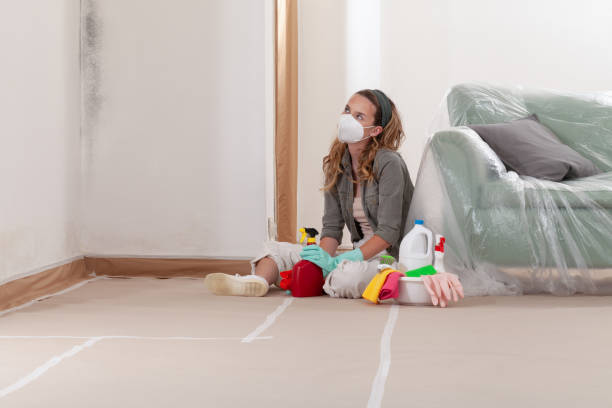 Reliable Mold Remediation contractor in Bound Brook, NJ by WQB Mold Removal
